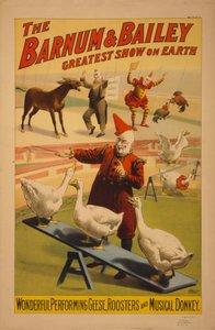 ملصق Barnum and Bailey Circus ، c.1900 (chromolithograph)